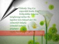 Tuhan betapa aku malu atas semua yang Kau beri padahal diriku terlalu sering membuatMU kecewa entah mungkin karna ku terlena sementara Engkau beri aku kesempatan berulang kali agar aku kembali dalam fitrahku sebagai manusia untuk menghambakanMU.... betapa tak ada apa-apanya aku dihadapanMU... Aku ingin mencintaiMU setulusnya, sebenar-benar aku cinta dalam do'a dalam ucapan dalam setiap langkahku... Kuberharap untuk bertemu denganMU ya Rabbi