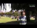 XLR8R TV Episode 75: Deerhoof Groupthink