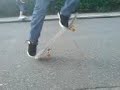 ollie ohne perfekte landung