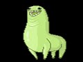 GREEN WTF LLAMA ~ CHACARRON MACARRON