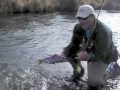 Fly Fishing the Provo River in the Fall—Utah Fly Guides