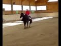Reining in Uebersee