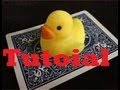 Duck Change - Tutorial