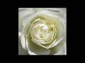 Lo How A Rose E'er Blooming / A Great And Mighty Wonder - Christmas Carols