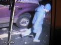 videos de Prowler