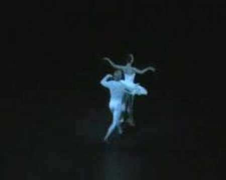 Swan Lake Polina Semionova Vladimir ...