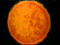 doomsday-tag-der-rache-2008-trailer-deutschgerman.html