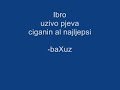 Ibro - ciganin al najljepsi