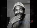 Marvin Gaye  Tribute-How sweet it is