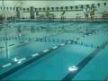 videos de Women's swimming: Western New England College vs. Westfield State