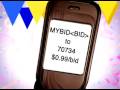 Bid 2 Win air fare