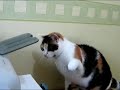 Video Vorschau