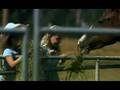 JOHN FOGERTY: DON'T YOU WISH IT WAS TRUE 