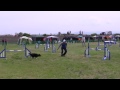 Click here to watch this video 石川トレーナーズクラブアジリティー競技会 2012/05/20 ＪＰ２ ジル子ちゃん