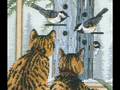 videos de Cross Stitch Kit Who's Watching Whom at abullrun