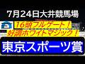 【競馬予想】東京スポーツ賞～フルゲート戦！～２０２６年７月２４日 大井競馬場 ：７－５７