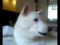 Oona Sings Take 1