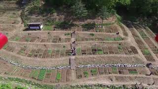 [은평구] 향림도시농업체험원 5월1일 드론찰영 영상(1) 썸네일