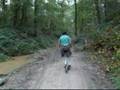 dogscootering