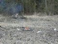 Sprej z Tesca