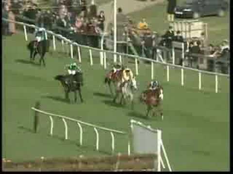 cheltenham gold cup