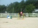 Mini Course With Bentley
