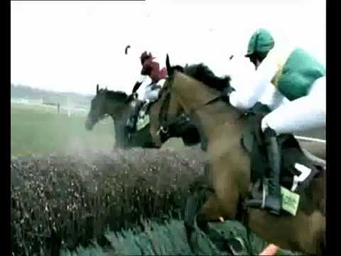 horse racing cheltenham