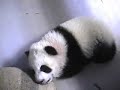 Sleepy Mei Lan