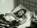 White Horses TV Classic.  Ferien in Lipizza