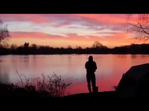 XL Carp Video