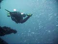 Diving the HMAS Brisbane, Mooloolaba