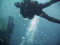 Diving the HMAS Brisbane, Mooloolaba