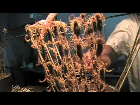 Regardez cette vidéo Regardez cette vidéo