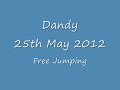 Click here to watch this video Dandy Free Jumping 25th May