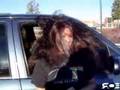 Massive-Hair-Trick