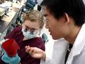 Dental School Boxing Wax PVS Impression Pourup Dental School Boxing Wax PVS Impression Pourup