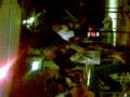 cha dapeen cafe balikpapan