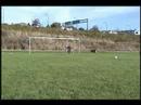 Joga Final revised