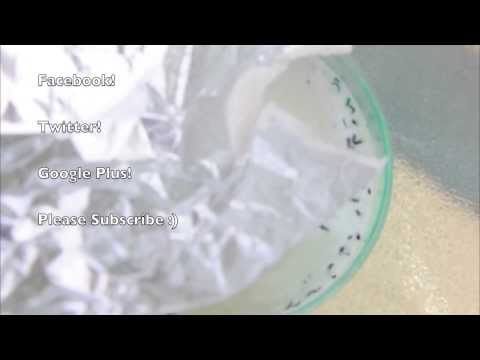 how to dissolve tin foil