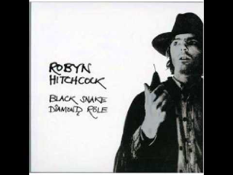 Robyn Hitchcock - Do policemen sing