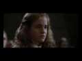 I Don't Care -Harry/Hermione