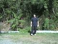 Thank you for watching this video. I have put the instructional clips up so that anyone who might benefit can. These clips are from an instructional DVD that I made for some students. The instructional portion of the short form are on-line here for free.The DVD contains sections on:Hand PositionsStancesTaiji WalkingStanding MeditationDetailed Instruction in the Movements (on-line for free)Demonstration of the Short Form (on-line for free)The DVD can be purchased here:http://kunaki.com/sales.asp?PID=PX00VLO5SKthe price is only $14.95Thank you for your support.Please review the disclaimer on the clip and get your doctors OK before beginning any exercise program.For more instructional material related to Traditional Chinese Martial Arts and Qi Gong please visit my website at http://www.shenlongpub.comor http://www.internalkungfu.org for more information on my classes.Please note- for some reason the Wu style Short Form DVD begins playback on chapter 3. After this the main menu will show up. You can also press chapter advance to get to the main menu. I was trying out a new program for authoring DVDs when I made this disk. None of my other DVDs have this problem and no future disks will have this problem (I won't be using this program again)  :-)Franklin