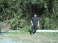Free Lesson: 2. Seven Star Posture- Wu Tai Chi