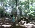 Zip wire at Jacobs Farm Imo - crash