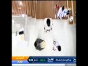 Kuwait Kyokushin Karate intervew in Al-Watan T.V. Part 5