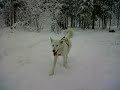 kiruna.3GP