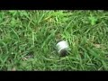 ucv protestas con bombas lacrimogenas