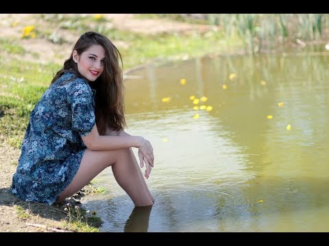 動画