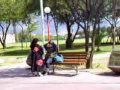 Insane Cosplay 5: Resumen