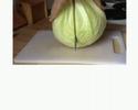 sauerkraut